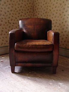 fauteuil-chair-stoel